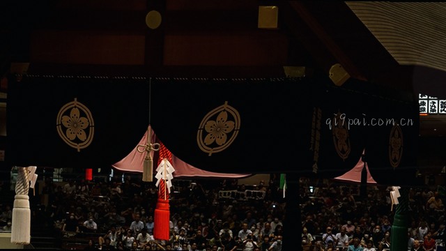 响应流程：从点击到确认的每一步清晰可见。